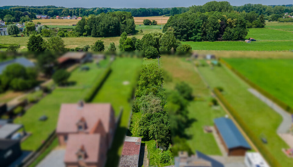 Maison &agrave; vendre &agrave; Meerbeek